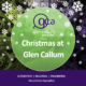 glen callum associates, tree, christmas, festive, recruitment, recruiters, cv, interviews, december, team, jumpers,